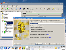 Linux: Job Properties Wizard
