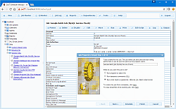 Web: Job Properties Wizard