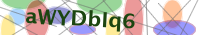 Input Verification Code