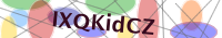Input Verification Code