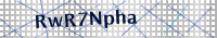 Input Verification Code