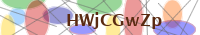Input Verification Code
