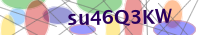 Input Verification Code