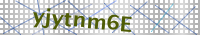 Input Verification Code