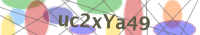 Input Verification Code