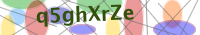 Input Verification Code
