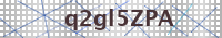 Input Verification Code
