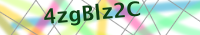 Input Verification Code