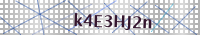 Input Verification Code
